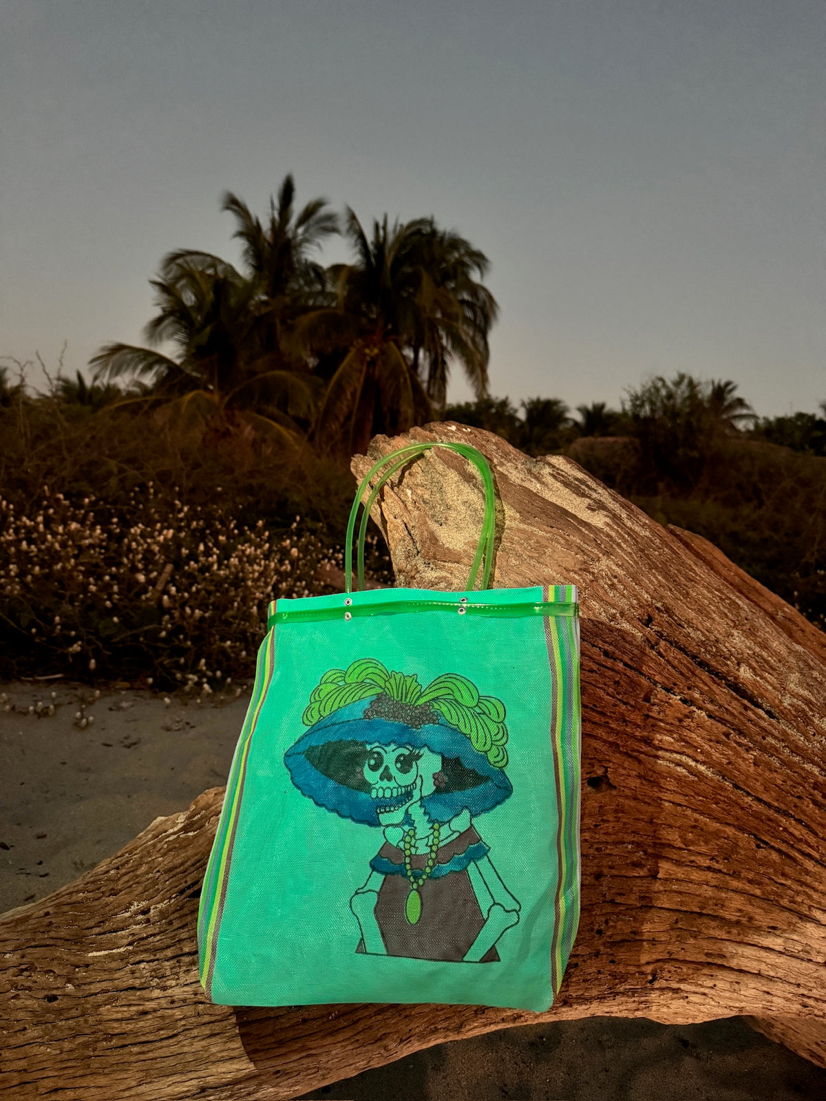 Bolsa Malla Calavera Celeste